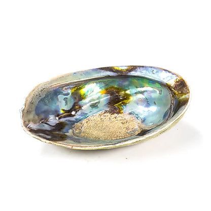 L'Abalone, coquille d'ormeau arc-en-ciel, ou Haliotis Iris, a de belles couleurs, principalement bleues et vertes et cette variante de la nacre est appelée paua par les Maoris, la population d'origine de la Nouvelle-Zélande.