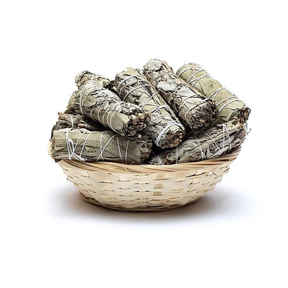 Sélection de sauge blanche vendu en smudge (bouquet) de 25/ 30 gr. ou en pack de 24 smudges. 3 parfums au choix : 100% naturel - Sang de dragon - Rose. Parfait !