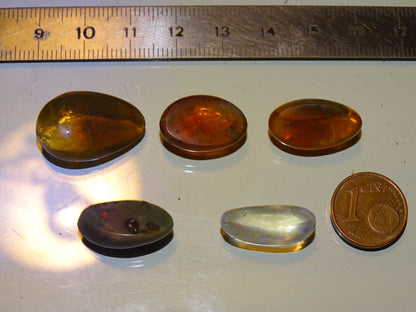 Sélection d'Opale multi-feu, cabochons de 1,9x0,8x7 millimètres à 23x15x0,9. L'authentique et mythique pierre pafait en bijouterie, collection ,exposition...!