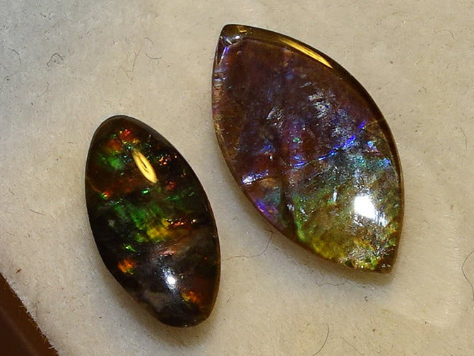 2 ammolites véritables, de 0,9x0,4x0,1 à 12x0,5x0,2 mm, magnifiques reflets multicolores, très belles pièces, parfait en bijouterie, collection ,exposition... !