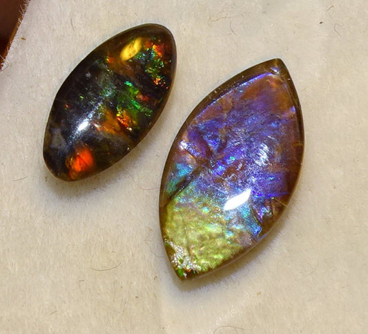 2 ammolites véritables, de 0,9x0,4x0,1 à 12x0,5x0,2 mm, magnifiques reflets multicolores, très belles pièces, parfait en bijouterie, collection ,exposition... !