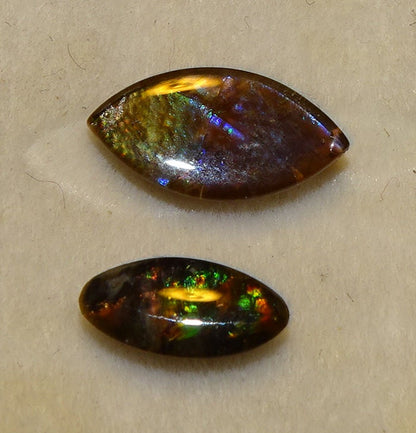 2 ammolites véritables, de 0,9x0,4x0,1 à 12x0,5x0,2 mm, magnifiques reflets multicolores, très belles pièces, parfait en bijouterie, collection ,exposition... !