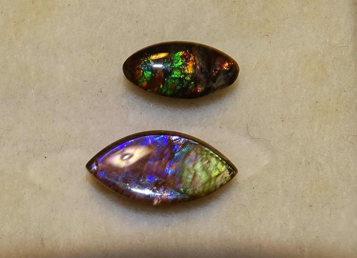 2 ammolites véritables, de 0,9x0,4x0,1 à 12x0,5x0,2 mm, magnifiques reflets multicolores, très belles pièces, parfait en bijouterie, collection ,exposition... !