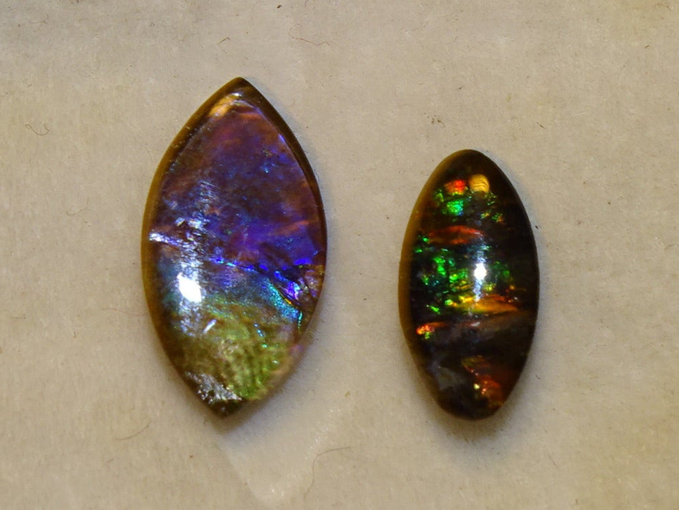 2 ammolites véritables, de 0,9x0,4x0,1 à 12x0,5x0,2 mm, magnifiques reflets multicolores, très belles pièces, parfait en bijouterie, collection ,exposition... !