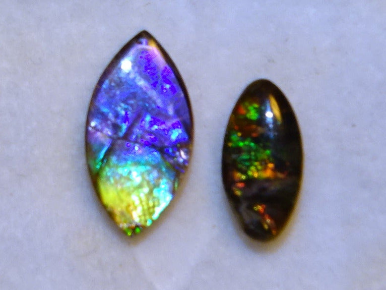 2 ammolites véritables, de 0,9x0,4x0,1 à 12x0,5x0,2 mm, magnifiques reflets multicolores, très belles pièces, parfait en bijouterie, collection ,exposition... !