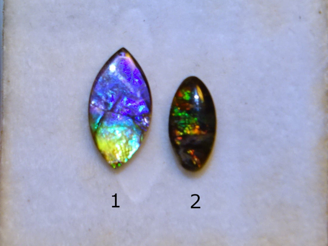 2 ammolites véritables, de 0,9x0,4x0,1 à 12x0,5x0,2 mm, magnifiques reflets multicolores, très belles pièces, parfait en bijouterie, collection ,exposition... !