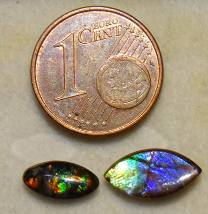 2 ammolites véritables, de 0,9x0,4x0,1 à 12x0,5x0,2 mm, magnifiques reflets multicolores, très belles pièces, parfait en bijouterie, collection ,exposition... !