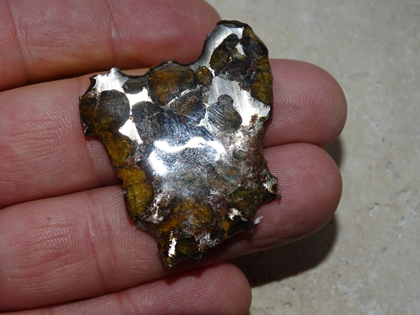 Sélection de météorites Pallasites Sericho, de 6 à 40 gr. Piéces rares et se distinguent par la présence de gros cristaux d'olivine en inclusion dans la matrice de ferronickel. Magnifique !