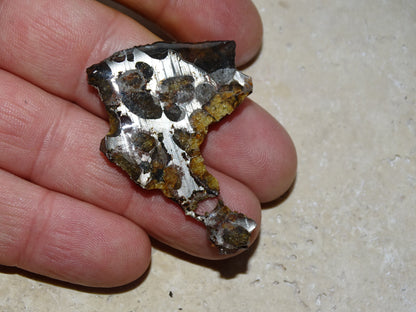 Sélection de météorites Pallasites Sericho, de 6 à 40 gr. Piéces rares et se distinguent par la présence de gros cristaux d'olivine en inclusion dans la matrice de ferronickel. Magnifique !