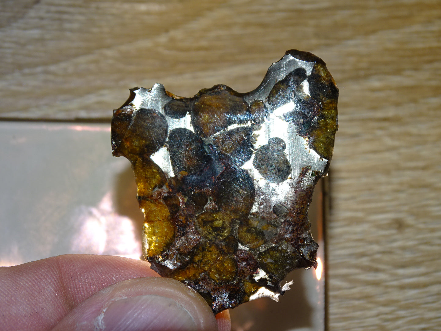 Sélection de météorites Pallasites Sericho, de 6 à 40 gr. Piéces rares et se distinguent par la présence de gros cristaux d'olivine en inclusion dans la matrice de ferronickel. Magnifique !