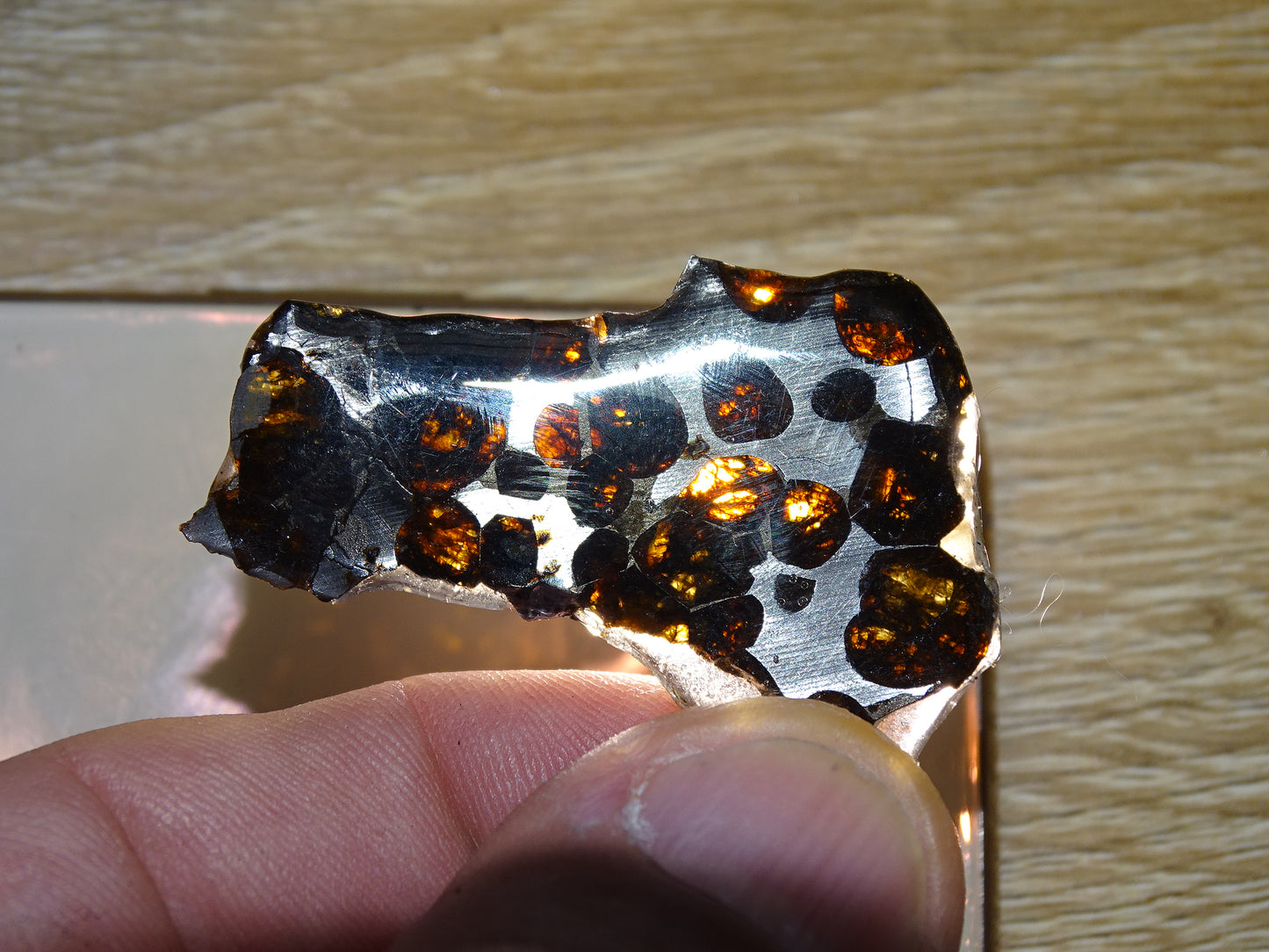 Sélection de météorites Pallasites Sericho, de 6 à 40 gr. Piéces rares et se distinguent par la présence de gros cristaux d'olivine en inclusion dans la matrice de ferronickel. Magnifique !