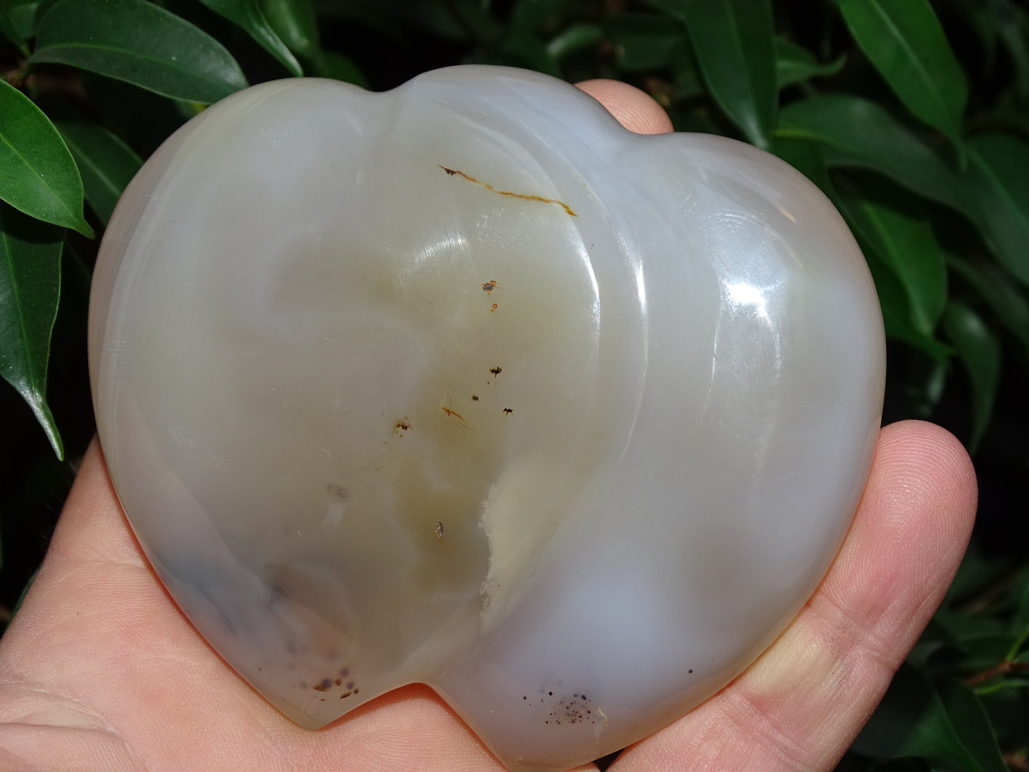 Coeur 'doublé', en agate dentrique de taille L (8,8 x 7,3 x 2,7 centimètres). Belles finitions, des veines de pierres, l'agate des artistes, magnifique pièce !