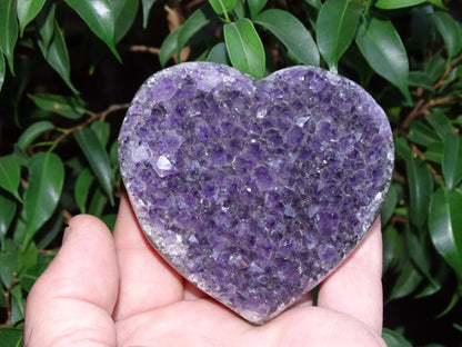 Druse en forme de coeur en amethyste de taille L (8,4 x 8,1 x 2,2 centimètres). Belles finitions, des cristaux d'un violet intense, parfait pour recharger des minéraux, magnifique pièce !