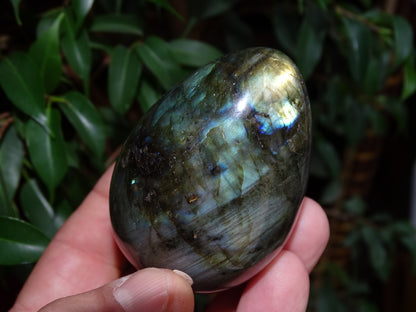 Oeuf en labradorite bleue, de 70 millimètres de hauteur x 50 mm de diamètre, poids 243 grammes. Très belle qualité, parfait pour une collection !