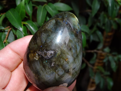 Oeuf en labradorite bleue, de 70 millimètres de hauteur x 50 mm de diamètre, poids 243 grammes. Très belle qualité, parfait pour une collection !