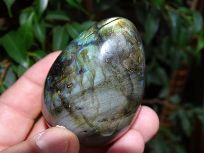 Oeuf en labradorite bleue, de 70 millimètres de hauteur x 50 mm de diamètre, poids 243 grammes. Très belle qualité, parfait pour une collection !