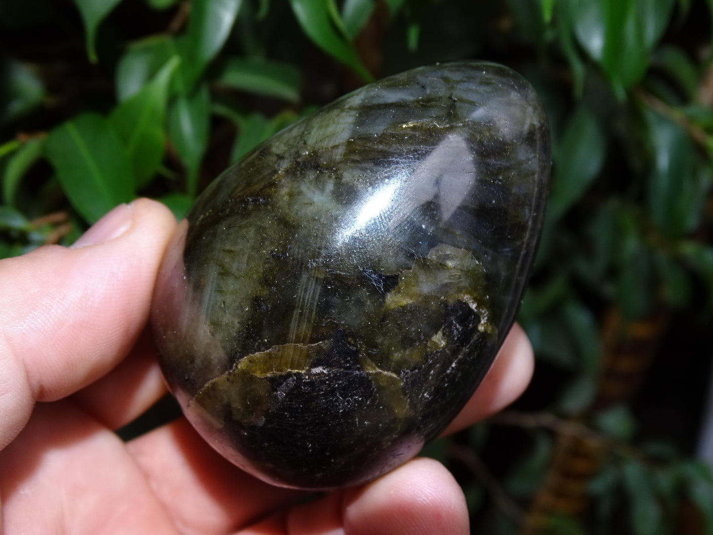 Oeuf en labradorite bleue, de 70 millimètres de hauteur x 50 mm de diamètre, poids 243 grammes. Très belle qualité, parfait pour une collection !