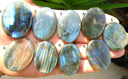 Labradorite, sélection de pierres plates, modèles au choix, environ 4x3x0,9 cm - 20 à 22 grammes. Parfait pour être monter en bijouterie. Très belle qualité, des reflets hologramme incroyable ! vente à l'unité ou lot complet !