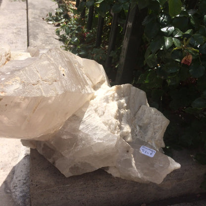 Rare ! Quartz/ Cristal de roche géant de 14,3 kilogrammes venant de l'Himalaya, côté Pakistan. Magnifique spécimen, impressionnant et très puissant!