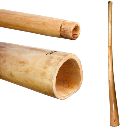 Didgeridoo en bois d'Acajou, 1,55/1,60 m - 2,60 kg. 6 accordages au choix, des sons dans les mediums basses incroyables, et housse inclus !