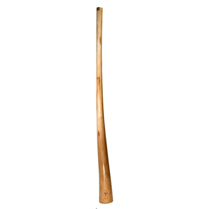 Didgeridoo en bois d'Acajou, 1,55/1,60 m - 2,60 kg. 6 accordages au choix, des sons dans les mediums basses incroyables, et housse inclus !