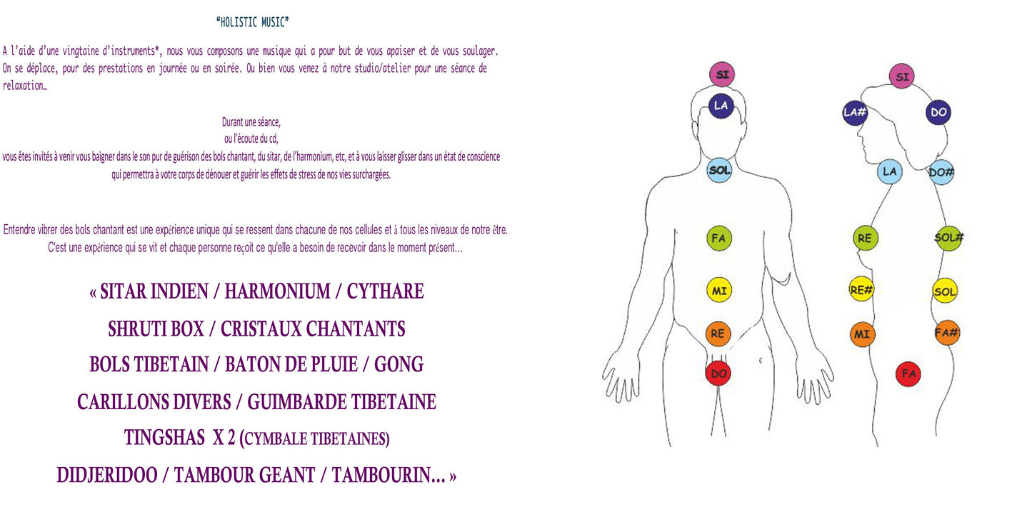 Compact disc, 'Holistic music', volume 1 ou volume 2. Expériences sonores sur les 7 chakras à l'aide de plusieurs instruments de musiques Indienne. par Michel Spiel, créateur de Gem & Zen