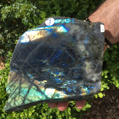 Labradorite, forme libre de qualité AA, 1 face polie 1 face brute, 150 x 150 x 60 mm - 1650 grammes environ. Très belle qualité, des reflets hologramme incroyable !