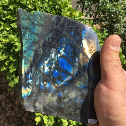 Labradorite, forme libre de qualité AA, 1 face polie 1 face brute, 150 x 150 x 60 mm - 1650 grammes environ. Très belle qualité, des reflets hologramme incroyable !