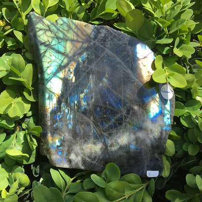 Labradorite, forme libre de qualité AA, 1 face polie 1 face brute, 150 x 150 x 60 mm - 1650 grammes environ. Très belle qualité, des reflets hologramme incroyable !