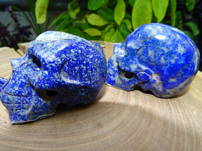 Sélection de 2 Crânes en lapis lazuli, pièces au choix, de 58 à 55 millimètres. Belles qualités, de belles finitions, magnifiques pièces !