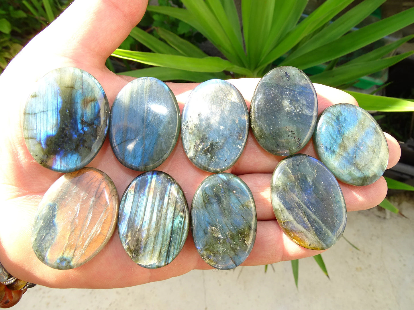 Labradorite, sélection de pierres plates, modèles au choix, environ 4x3x0,9 cm - 20 à 22 grammes. Parfait pour être monter en bijouterie. Très belle qualité, des reflets hologramme incroyable ! vente à l'unité ou lot complet !