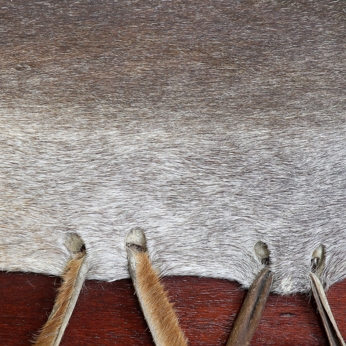 Tambour 'Mère'/ Mother drum, modèles au choix de Ø 100, 120, 140 centimètres. Vendu avec 2 maillets adaptés de 50x8 centimètres, parfait pour des rituels à plusieurs ! Housse + table en option !